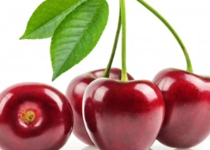 Szálloda La Guindal Arriondas