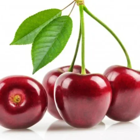 Hotel La Guindal Arriondas